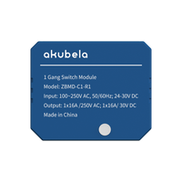 Akubela 1 Gang Zigbee Switch Module