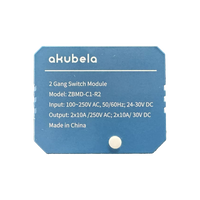Akubela 2 Gang Zigbee Switch Module